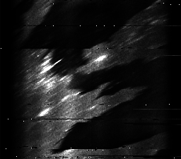 ascat_grayscale_ch3.png
